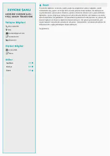 Hasta ve Yaşlı Bakım Elemanı Cv Örnekleri cv indir